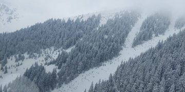 Tragedie. Doi dintre ucrainenii rătăciţi au fost descoperiţi în Munţii Maramureşului. Tatăl mort într-o râpă, fiul cu picioarele degerate