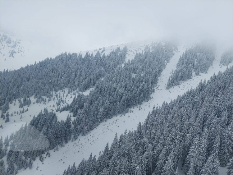 Tragedie. Doi dintre ucrainenii rătăciţi au fost descoperiţi în Munţii Maramureşului. Tatăl mort într-o râpă, fiul cu picioarele degerate