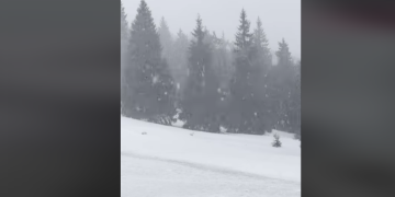 Ninsori abundente în Maramureș. Stratul de zăpadă are deja 10 centimetri