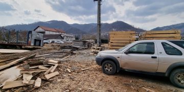 16 controale pe linie silvică, amenzi de 63.000 de lei și 270 mc material lemnos confiscat