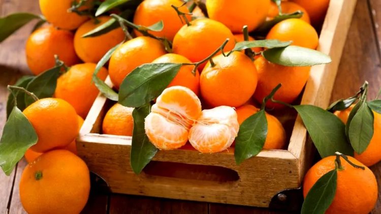 O nouă ALERTĂ ALIMENTARĂ! Mandarine cu pesticide şi dulciuri contaminate cu Salmonella, retrase de pe piaţă