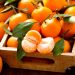 O nouă ALERTĂ ALIMENTARĂ! Mandarine cu pesticide şi dulciuri contaminate cu Salmonella, retrase de pe piaţă