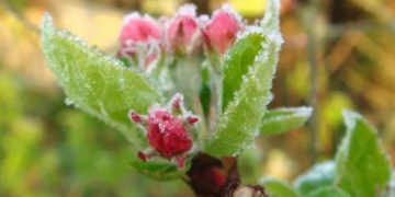 Veşti rele de la meteorologi. Informare de vreme rece până joi dimineaţa 