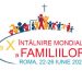 A X-a Întâlnire Mondială a Familiilor – explicația logoului