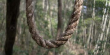 Persoana care s-a spânzurat la începutul lunii de un copac în satul Mara a fost identificat: un bărbat de 47 de ani din Suceava