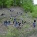 Peste 200 de băimăreni au participat la acțiunea de plantare de castani pe Valea Usturoiului. Printre ei și finaliștii de la Minaur Baia Mare