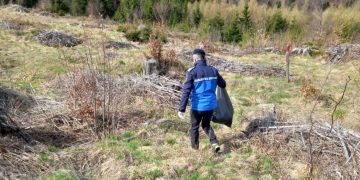 Jandarmii băimăreni, curăţenie generală în pădurile din zona Târgu Lăpuș și Baia Sprie