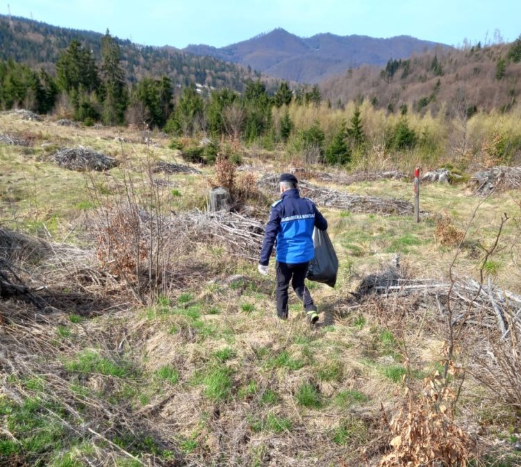 Jandarmii băimăreni, curăţenie generală în pădurile din zona Târgu Lăpuș și Baia Sprie