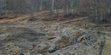 Drumul Băiuț-Botiza, distrus de exploatatorii forestieri