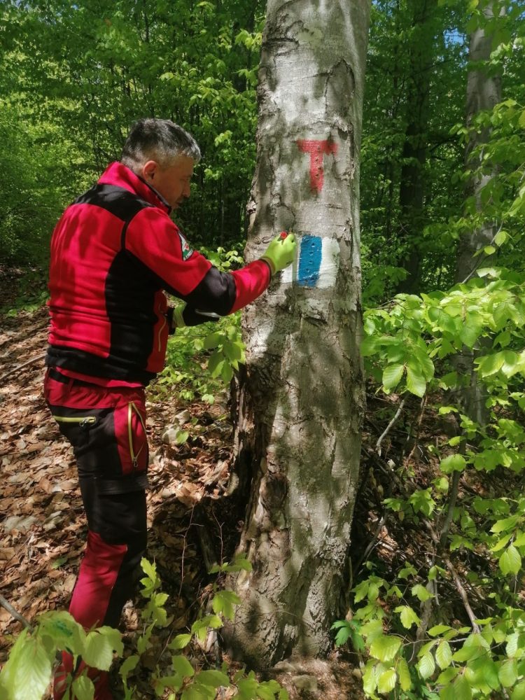 Trasee turistice curăţate şi remarcate de salvatorii montani maramureşeni