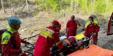 Tânăr rănit grav în timp ce lucra într-o pădure din zona Izvoare. Au intervenit salvatorii montani