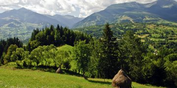 90 ani de existență a rezervației naturale Pietrosu Mare