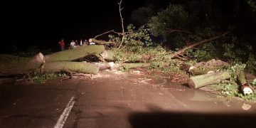 Codul roşu de vreme rea a făcut ravagii în mai multe judeţe