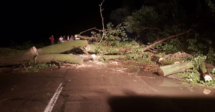 Codul roşu de vreme rea a făcut ravagii în mai multe judeţe