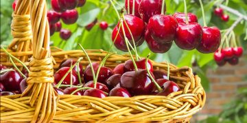 Prognoza meteo. Cum va fi vremea în prima lună de vară