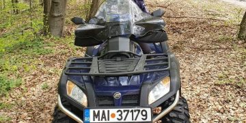 Recomandările jandarmilor pentru a se evita atacurile urşilor