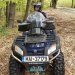 Recomandările jandarmilor pentru a se evita atacurile urşilor