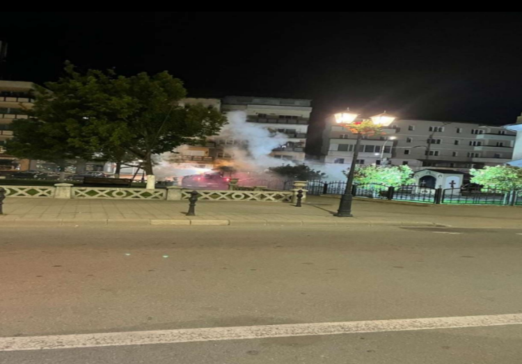 Primăria Sighetu Marmației a efectuat o acţiune de dezinsecţie și deratizare pe domeniul public