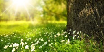 Meteorologii ne spun cum va fi vremea în perioada 9 mai-6 iunie