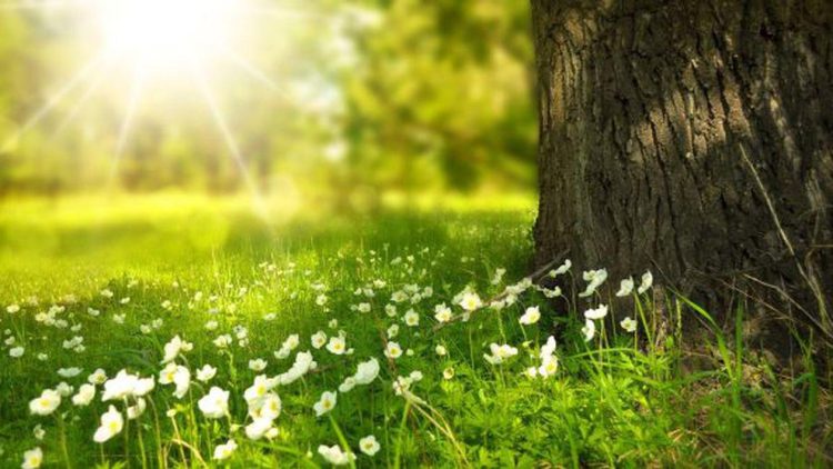 Meteorologii ne spun cum va fi vremea în perioada 9 mai-6 iunie