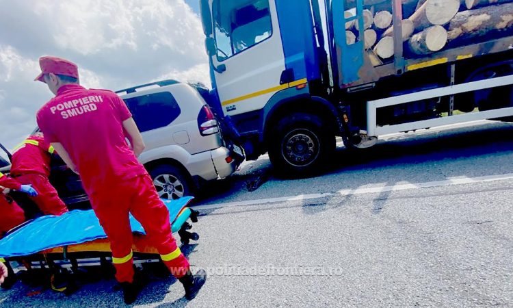 Transport ilegal de lemne. Urmărire în trafic, scandal, ameninţări, spray lacrimogen în Pasul Prislop