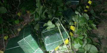 Țigări de contrabandă de peste 70.000 lei, confiscate la frontiera de nord