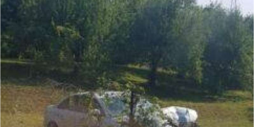 ACCIDENT ÎN LEORDINA: Un bărbat a plonjat cu mașina într-o grădină