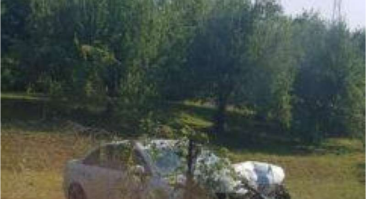 ACCIDENT ÎN LEORDINA: Un bărbat a plonjat cu mașina într-o grădină