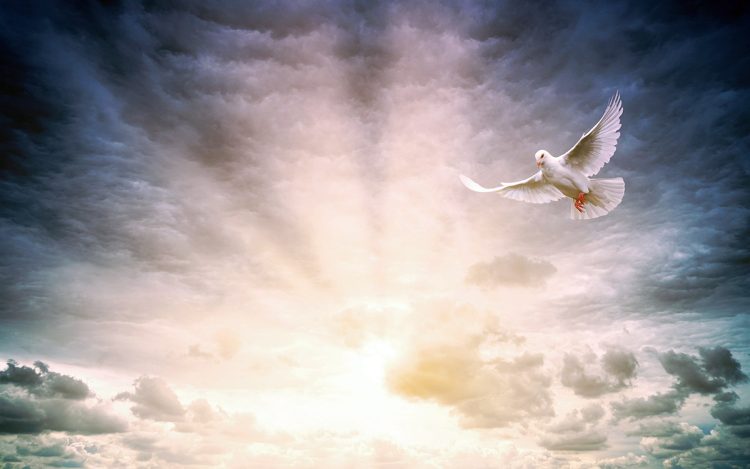 Romano-catolicii şi reformaţii sărbătoresc Rusaliile 