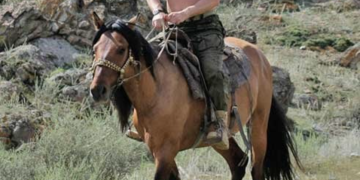 Boris Johnson spune că Vladimir Putin nu ar fi invadat Ucraina dacă era femeie