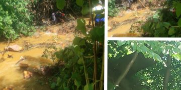 EXCLUSIVITATE: Alunecare de teren în zona comunei Băiuț. Râul a fost blocat