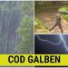 Cod galben de furtuni. Ce avertisment au dat meteorologii și până când este valabil