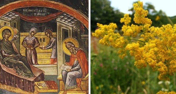 Nașterea Sfântului Ioan Botezătorul este sărbătorită pe 24 iunie