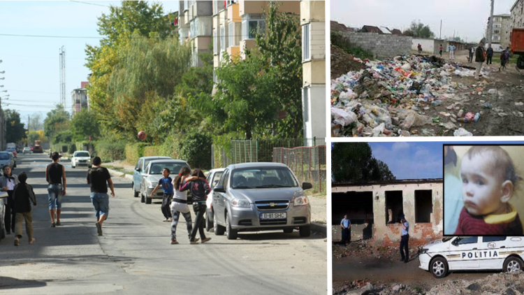 Cetățenii din zona Păltinișului…„Niște …. fără minte, domnule!”