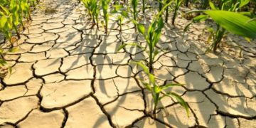 PROBLEME CU APA ÎN JUDEȚ: În Lăpuș se vor face verificări pentru a se reduce consumul irațional