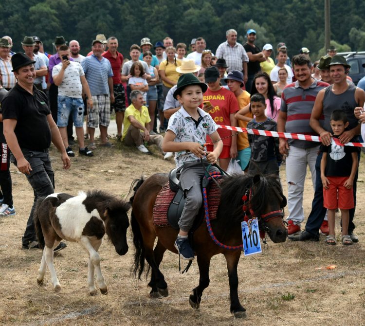 Festival ecvestru la Suciu de Sus: GALERIE FOTO