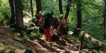 Belgiancă afectată de caniculă, recuperată din Munţii Gutâi de salvamontişti