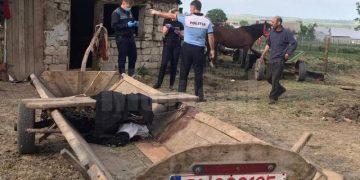 Un bărbat a ajuns la închisoare pentru că și-a maltratat calul