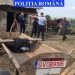 Un bărbat a ajuns la închisoare pentru că și-a maltratat calul
