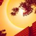 Nou val de de caniculă peste România. Temperaturi de peste 37 grade Celsius la umbră
