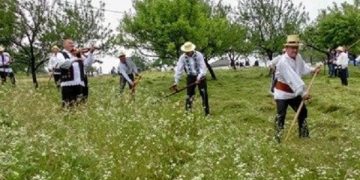 Hai la coasă cu codrenii – concurs de cosit la Codru Butesii