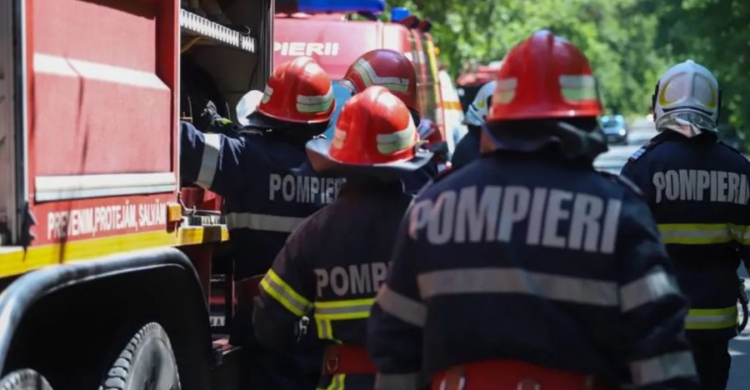 Arde pădurea de lângă Italsofa din Baia Mare. INTERVIN POMPIERII