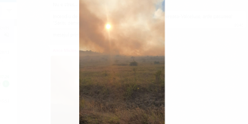 Disperarea unui primar din Maramureș: Arde pasunea! „Sariti, oameni buni”!!!