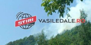 O pădure din zona Firiza a luat foc. Suspect care ar fi provocat incendiul: ”Să lucrați și voi ceva, nu să stați în unitate pe tik-tok!”