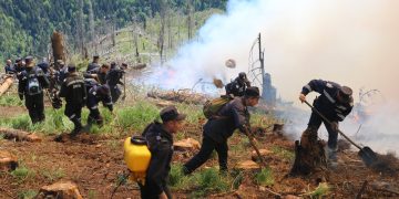 Şapte incendii de vegetație uscată, miriște și fond forestier, izbucnite în Maramureş doar joi. Ce recomandă pompierii