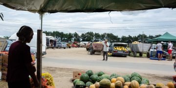 Nici pepenii românești nu mai au loc pe rafturi..