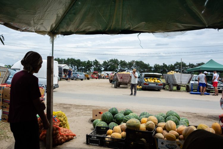 Nici pepenii românești nu mai au loc pe rafturi..