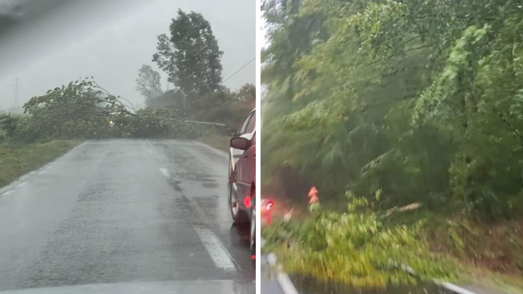 Vremea face proleme în județ. Drumuri blocate, acoperișuri luate de vânt. AVEȚI GRIJĂ