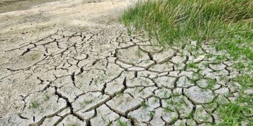 Vreme caniculară, fără ploi în următoarele săptămâni