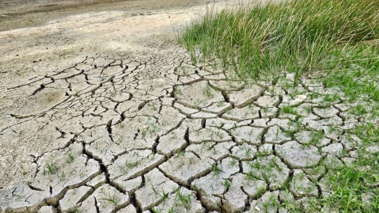 Vreme caniculară, fără ploi în următoarele săptămâni